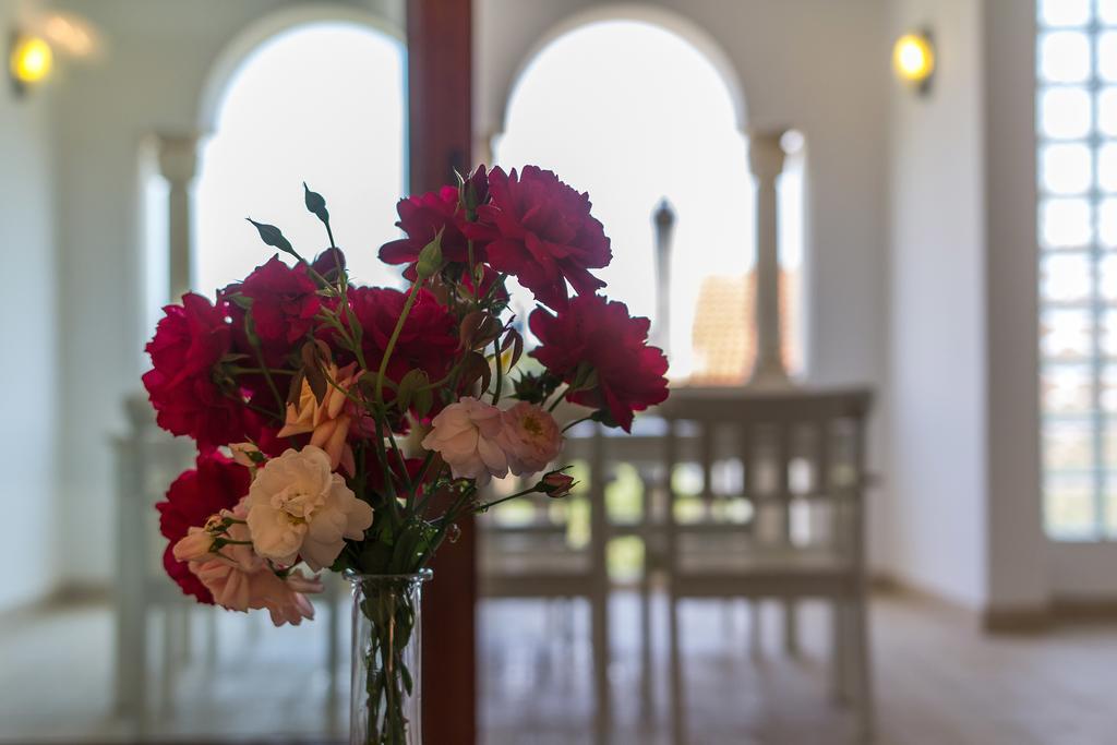 Villa Alma Veli Lošinj Εξωτερικό φωτογραφία